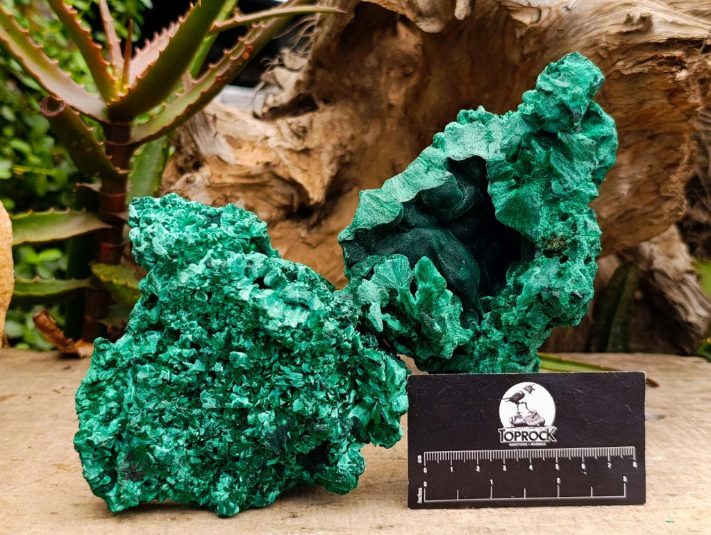 Natural Silky Malachite Specimens x 2 From Kasompe, Congo - Toprock Gemstones and Minerals 