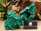 Natural Silky Malachite Specimens x 2 From Kasompe, Congo - Toprock Gemstones and Minerals 