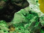 Natural Silky Malachite Specimens x 2 From Kasompe, Congo - Toprock Gemstones and Minerals 