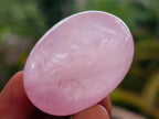 Polished Wire Wrap Size Gemmy Rose Quartz Galets x 35 From Madagascar - Toprock Gemstones and Minerals 