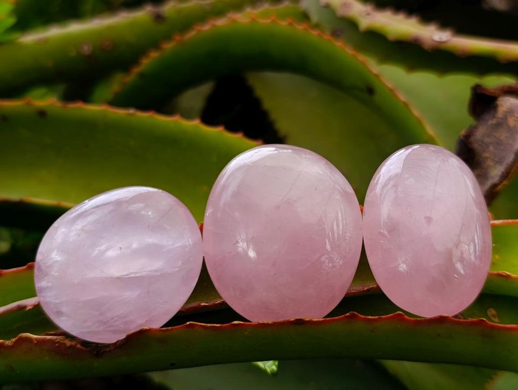 Polished Wire Wrap Size Gemmy Rose Quartz Galets x 35 From Madagascar - Toprock Gemstones and Minerals 