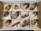 Natural Red Hematoid Quartz Crystals x 12 From Karoi, Zimbabwe - Toprock Gemstones and Minerals 