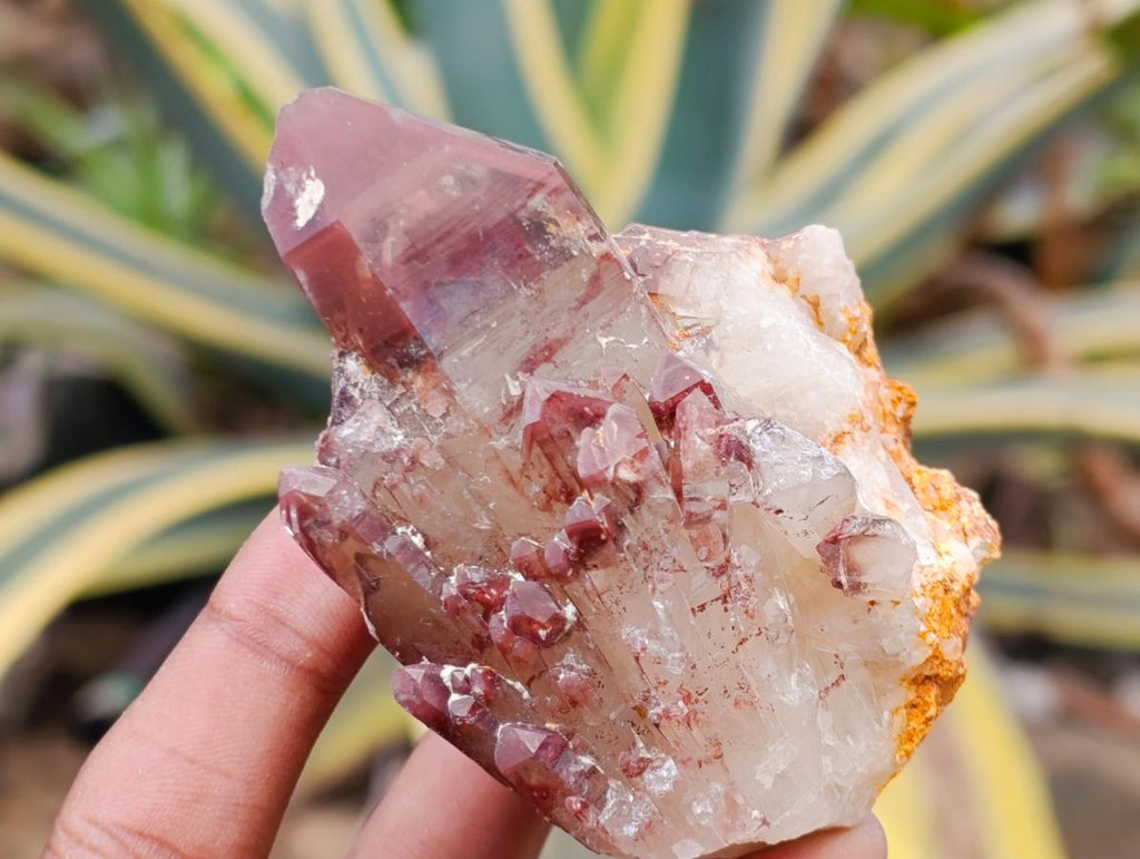 Natural Red Hematoid Quartz Crystals x 12 From Karoi, Zimbabwe - Toprock Gemstones and Minerals 