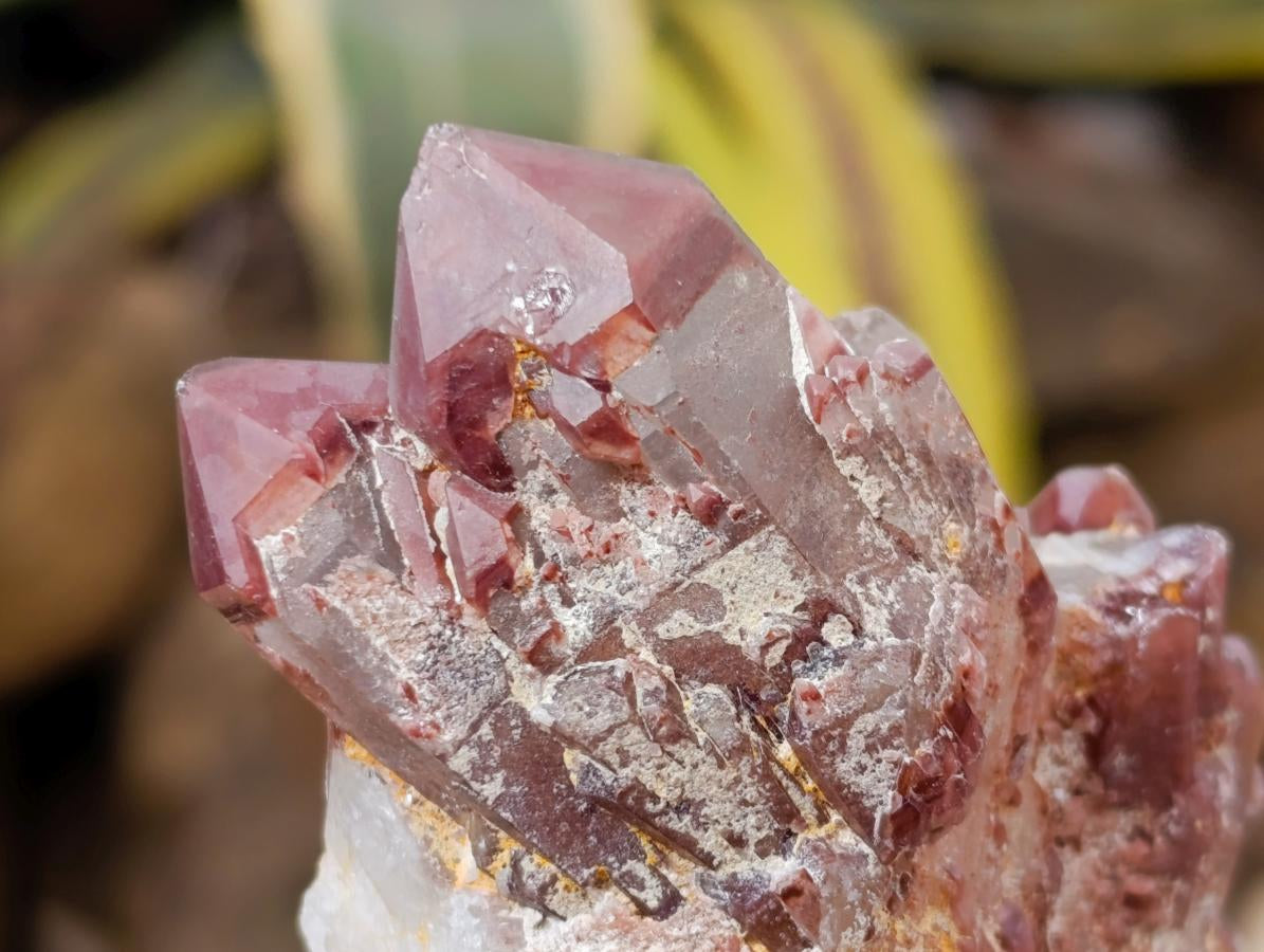 Natural Red Hematoid Quartz Crystals x 12 From Karoi, Zimbabwe - Toprock Gemstones and Minerals 