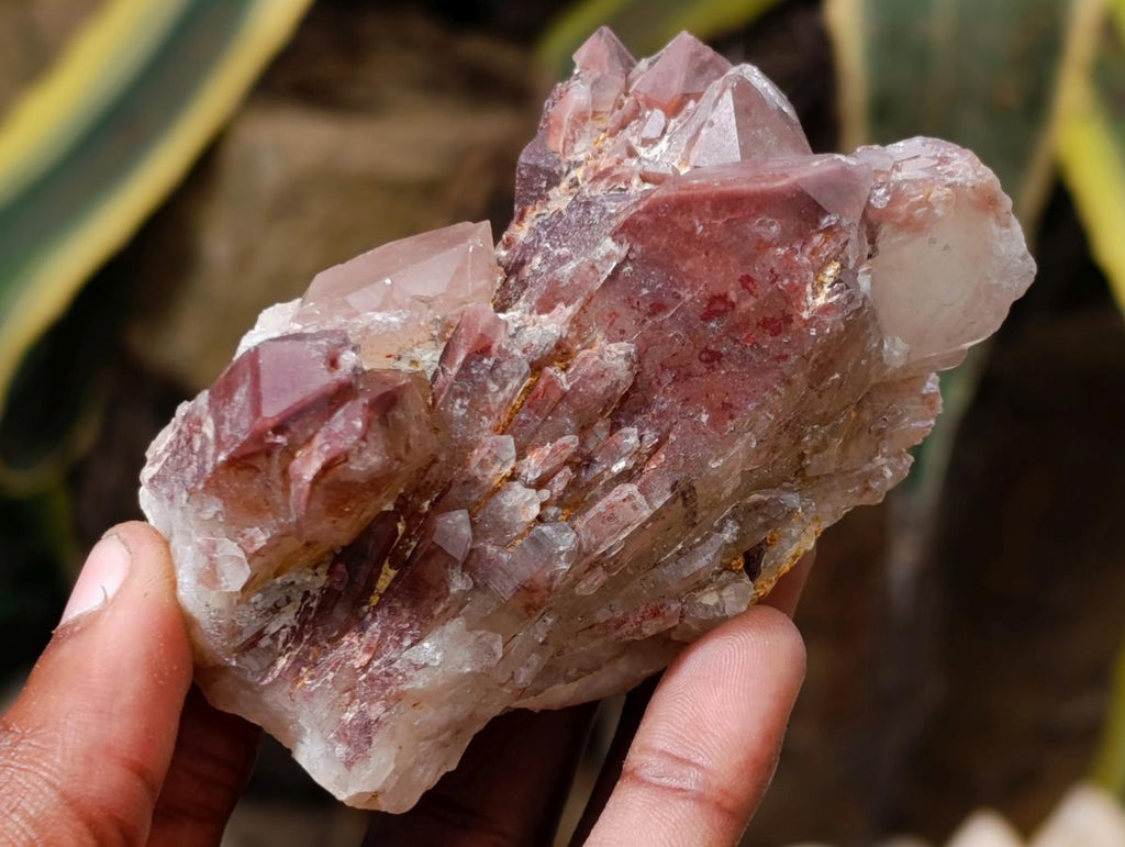 Natural Red Hematoid Quartz Crystals x 12 From Karoi, Zimbabwe - Toprock Gemstones and Minerals 