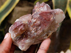 Natural Red Hematoid Quartz Crystals x 12 From Karoi, Zimbabwe - Toprock Gemstones and Minerals 