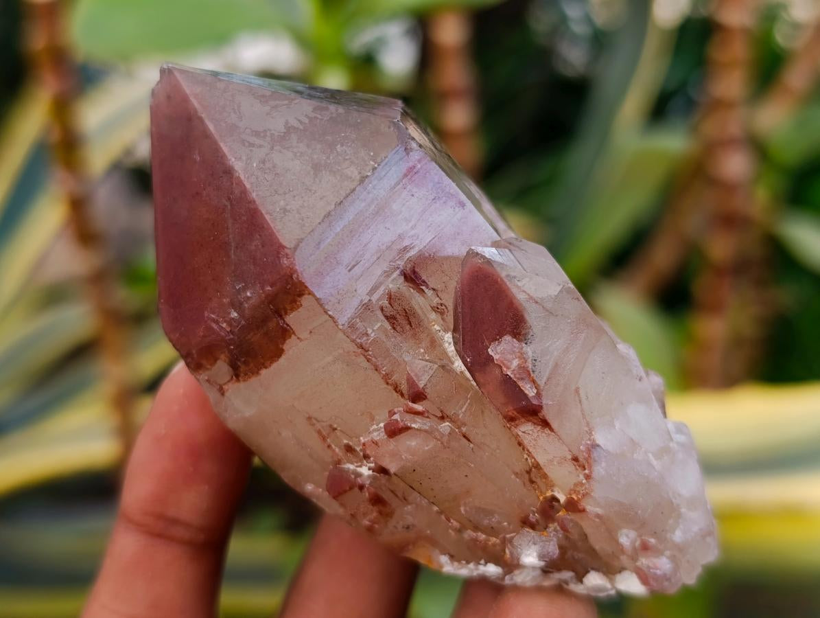 Natural Red Hematoid Quartz Crystals x 12 From Karoi, Zimbabwe - Toprock Gemstones and Minerals 