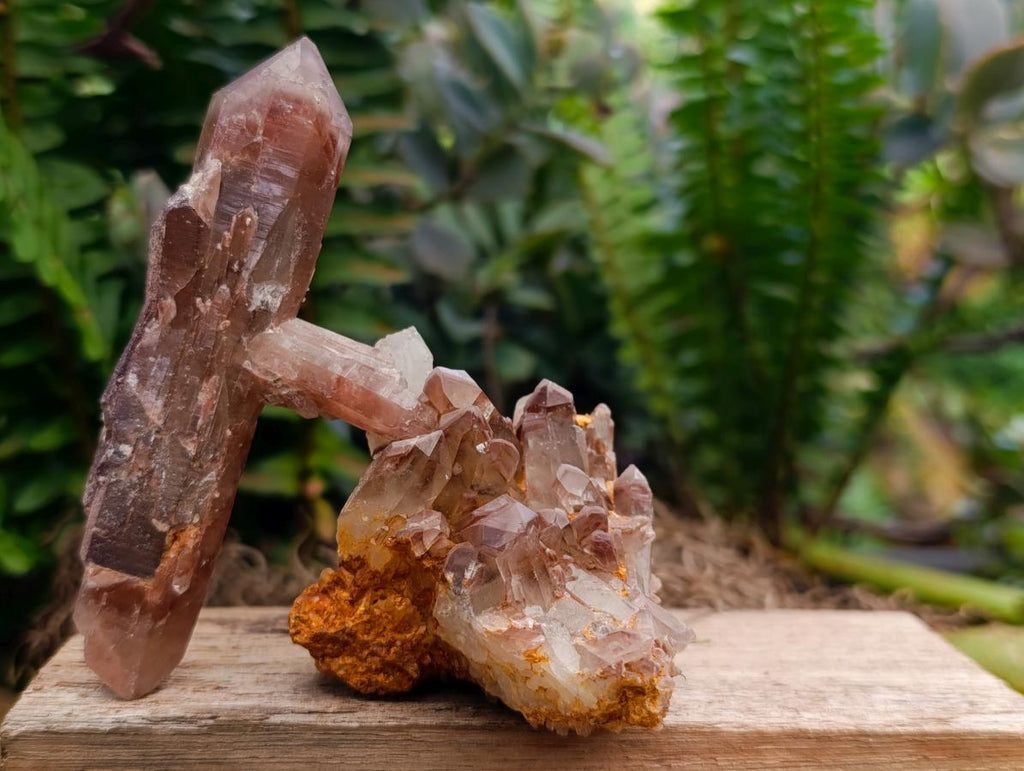 Natural Red Hematoid Quartz Crystals x 12 From Karoi, Zimbabwe - Toprock Gemstones and Minerals 