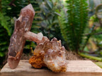 Natural Red Hematoid Quartz Crystals x 12 From Karoi, Zimbabwe - Toprock Gemstones and Minerals 
