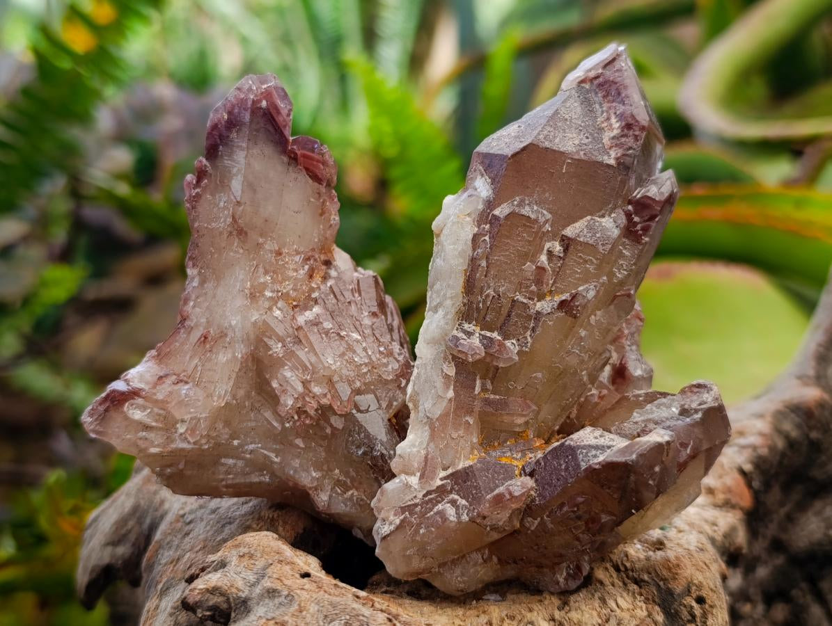 Natural Red Hematoid Quartz Crystals x 12 From Karoi, Zimbabwe - Toprock Gemstones and Minerals 
