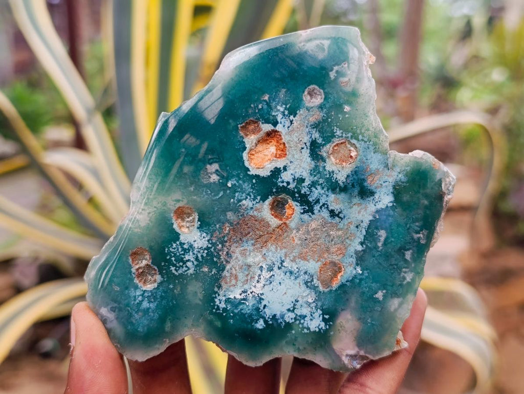 Polished On One Side Mtorolite Chrysoprase Plates x 12 From Mutorashanga, Zimbabwe - Toprock Gemstones and Minerals 