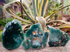 Polished On One Side Mtorolite Chrysoprase Plates x 12 From Mutorashanga, Zimbabwe - Toprock Gemstones and Minerals 