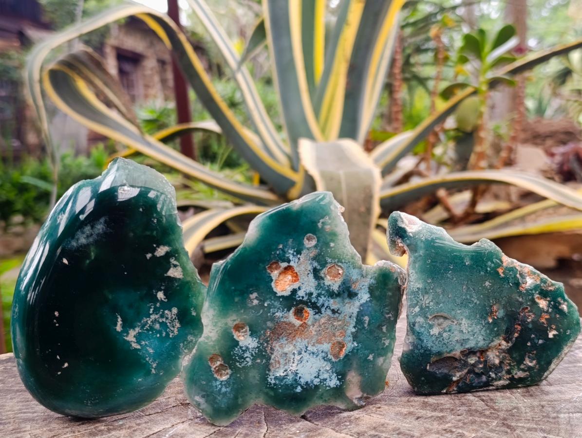 Polished On One Side Mtorolite Chrysoprase Plates x 12 From Mutorashanga, Zimbabwe - Toprock Gemstones and Minerals 