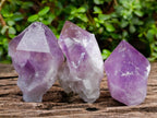 Natural Jacaranda Amethyst Single Crystals x 24 From Mumbwa, Zambia - Toprock Gemstones and Minerals 
