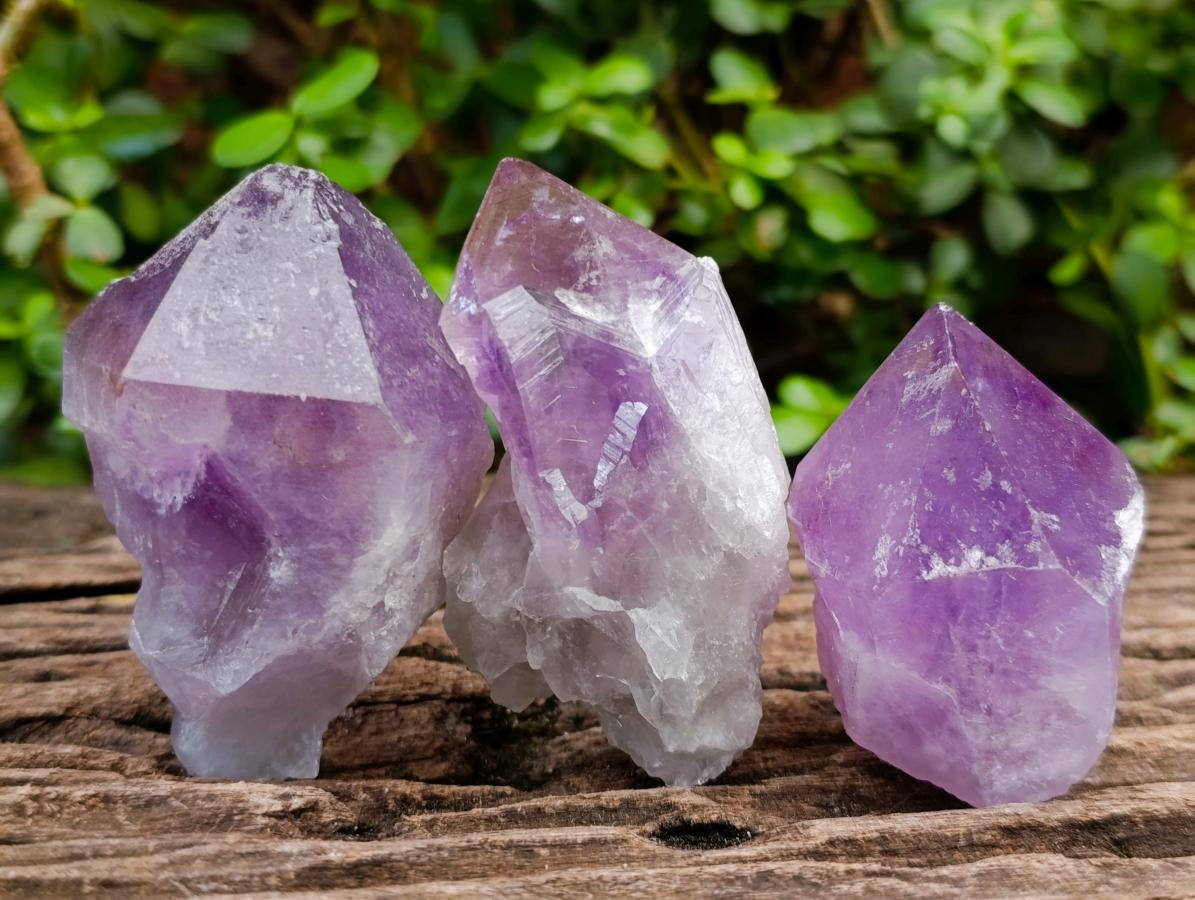 Natural Jacaranda Amethyst Single Crystals x 24 From Mumbwa, Zambia - Toprock Gemstones and Minerals 