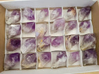 Natural Jacaranda Amethyst Single Crystals x 24 From Mumbwa, Zambia - Toprock Gemstones and Minerals 