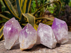 Natural Jacaranda Amethyst Single Crystals x 24 From Mumbwa, Zambia - Toprock Gemstones and Minerals 