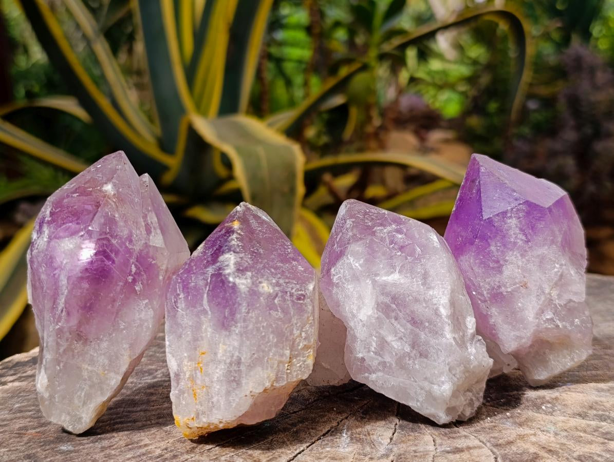 Natural Jacaranda Amethyst Single Crystals x 24 From Mumbwa, Zambia - Toprock Gemstones and Minerals 