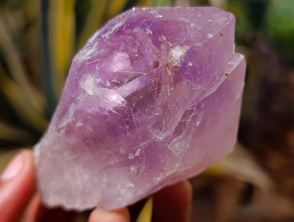 Natural Jacaranda Amethyst Single Crystals x 24 From Mumbwa, Zambia - Toprock Gemstones and Minerals 