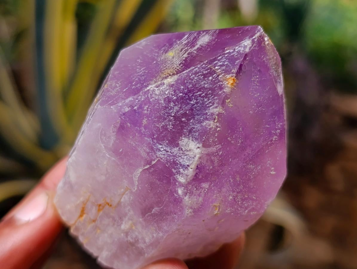 Natural Jacaranda Amethyst Single Crystals x 24 From Mumbwa, Zambia - Toprock Gemstones and Minerals 