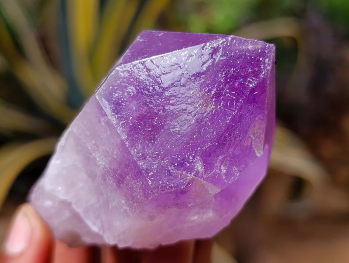 Natural Jacaranda Amethyst Single Crystals x 24 From Mumbwa, Zambia - Toprock Gemstones and Minerals 