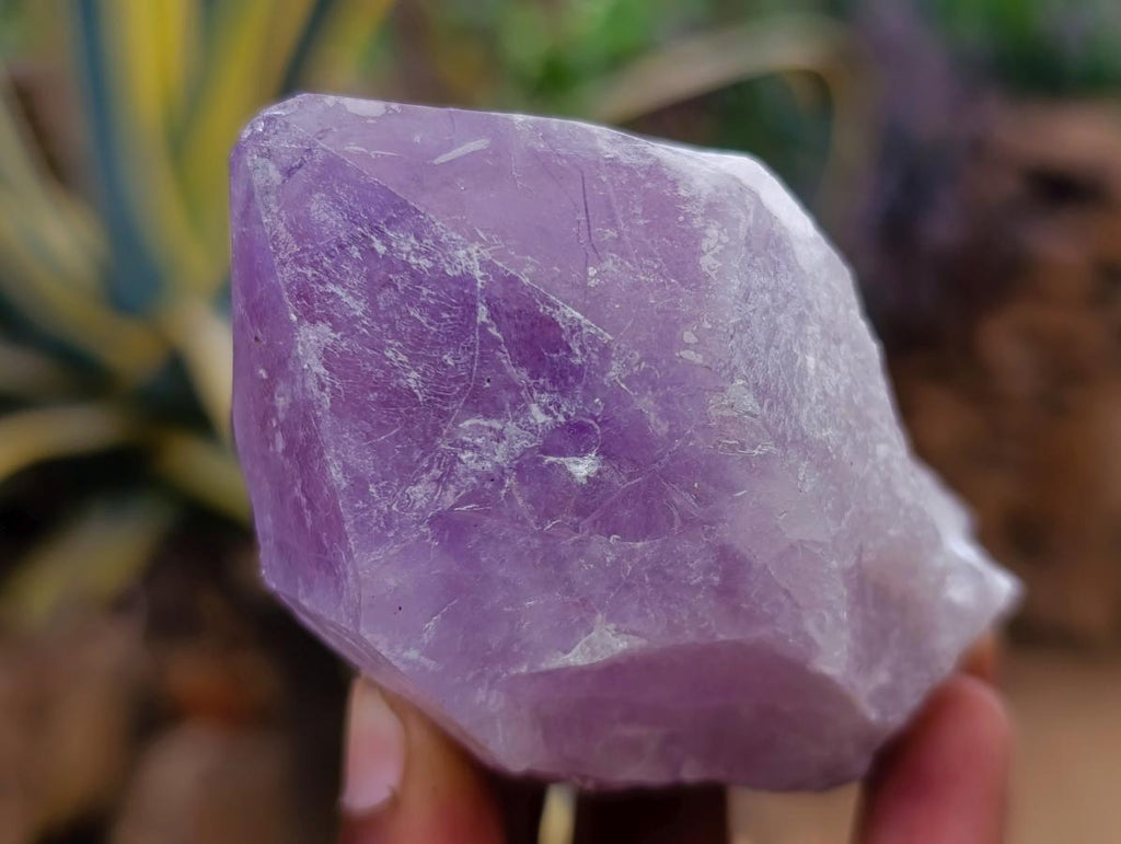 Natural Jacaranda Amethyst Single Crystals x 24 From Mumbwa, Zambia - Toprock Gemstones and Minerals 