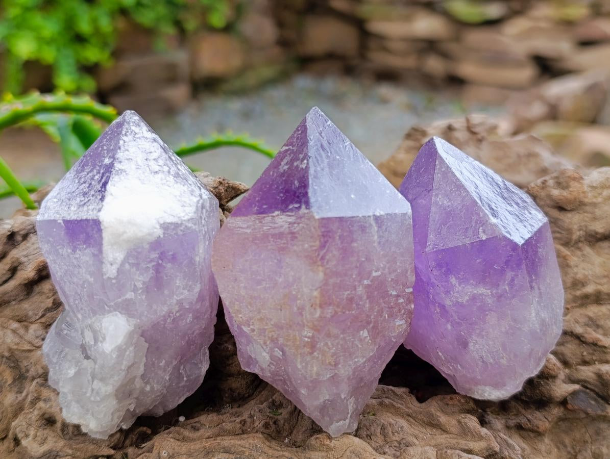 Natural Jacaranda Amethyst Single Crystals x 24 From Mumbwa, Zambia - Toprock Gemstones and Minerals 