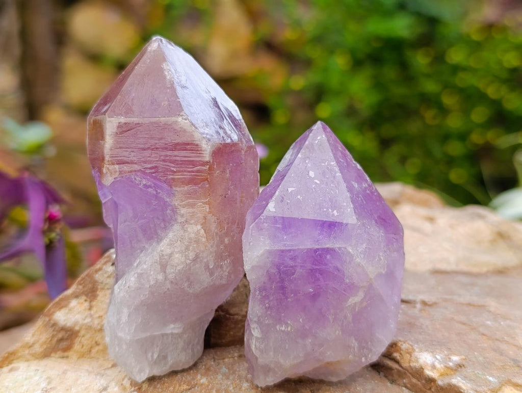 Natural Jacaranda Amethyst Single Crystals x 24 From Mumbwa, Zambia - Toprock Gemstones and Minerals 