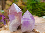 Natural Jacaranda Amethyst Single Crystals x 24 From Mumbwa, Zambia - Toprock Gemstones and Minerals 
