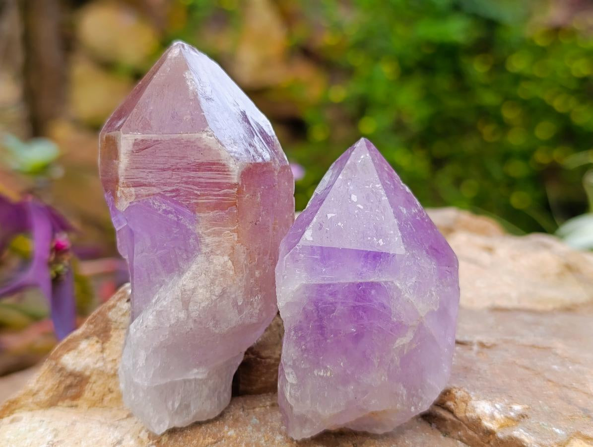 Natural Jacaranda Amethyst Single Crystals x 24 From Mumbwa, Zambia - Toprock Gemstones and Minerals 