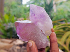 Natural Jacaranda Amethyst Single Crystals x 24 From Mumbwa, Zambia - Toprock Gemstones and Minerals 