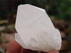 Natural Pineapple Candle Quartz Single Crystals x 35 From Antsirabe, Madagascar - Toprock Gemstones and Minerals 