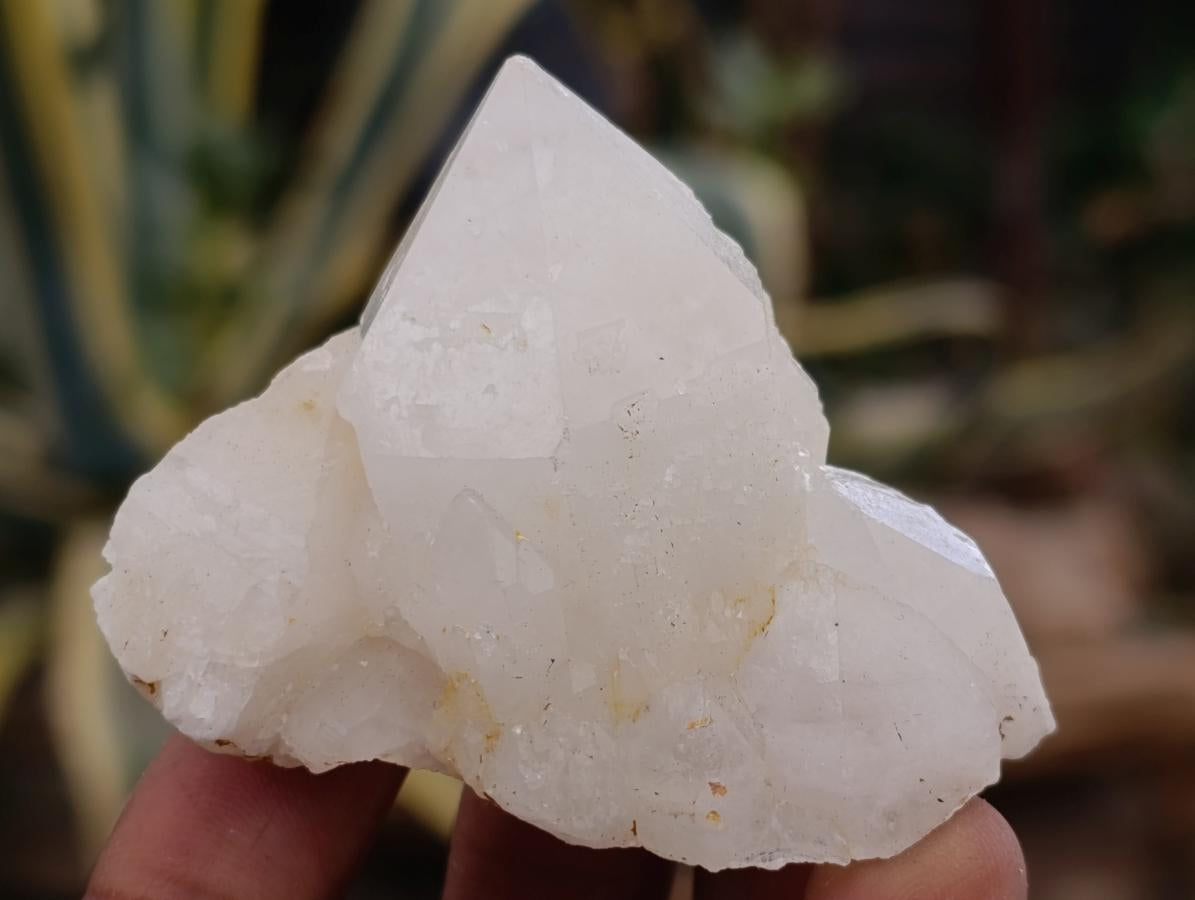 Natural Pineapple Candle Quartz Single Crystals x 35 From Antsirabe, Madagascar - Toprock Gemstones and Minerals 