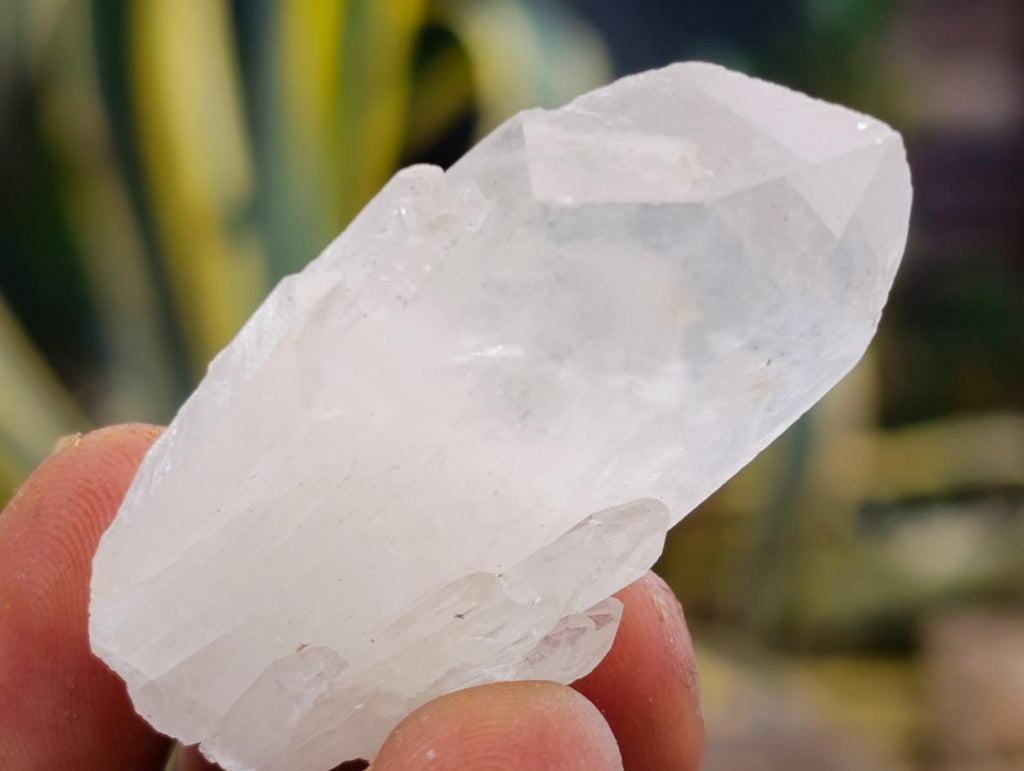 Natural Pineapple Candle Quartz Single Crystals x 35 From Antsirabe, Madagascar - Toprock Gemstones and Minerals 