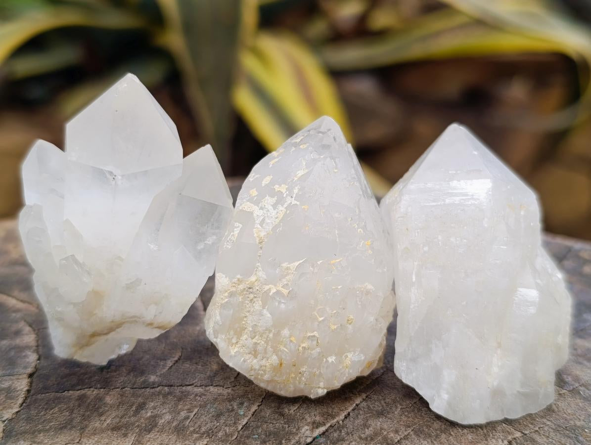 Natural Pineapple Candle Quartz Single Crystals x 35 From Antsirabe, Madagascar - Toprock Gemstones and Minerals 