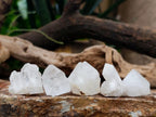 Natural Pineapple Candle Quartz Single Crystals x 35 From Antsirabe, Madagascar - Toprock Gemstones and Minerals 