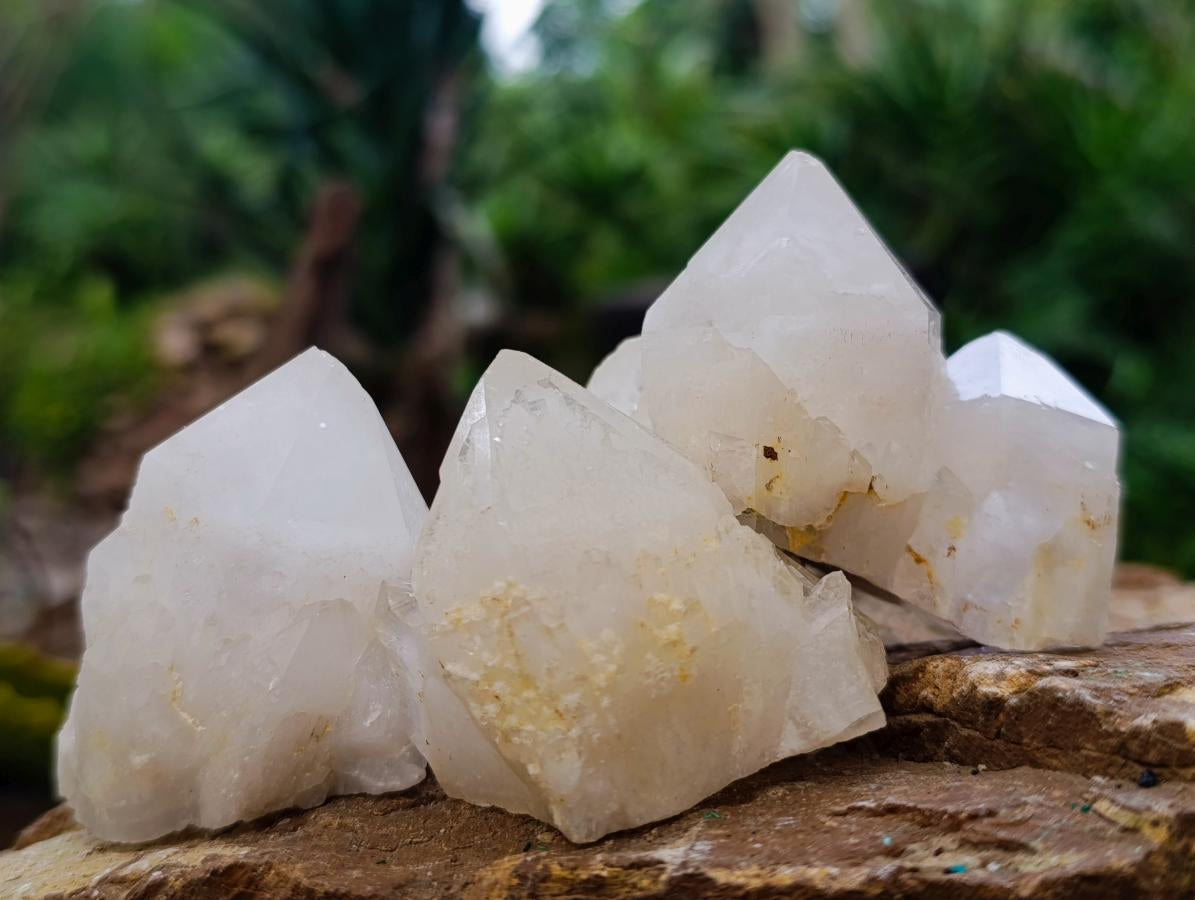 Natural Pineapple Candle Quartz Single Crystals x 35 From Antsirabe, Madagascar - Toprock Gemstones and Minerals 