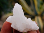 Natural Pineapple Candle Quartz Single Crystals x 35 From Antsirabe, Madagascar - Toprock Gemstones and Minerals 