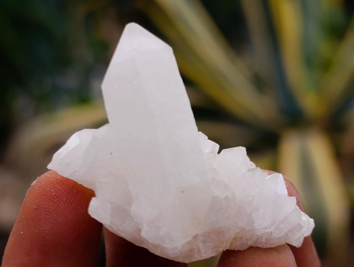 Natural Pineapple Candle Quartz Single Crystals x 35 From Antsirabe, Madagascar - Toprock Gemstones and Minerals 