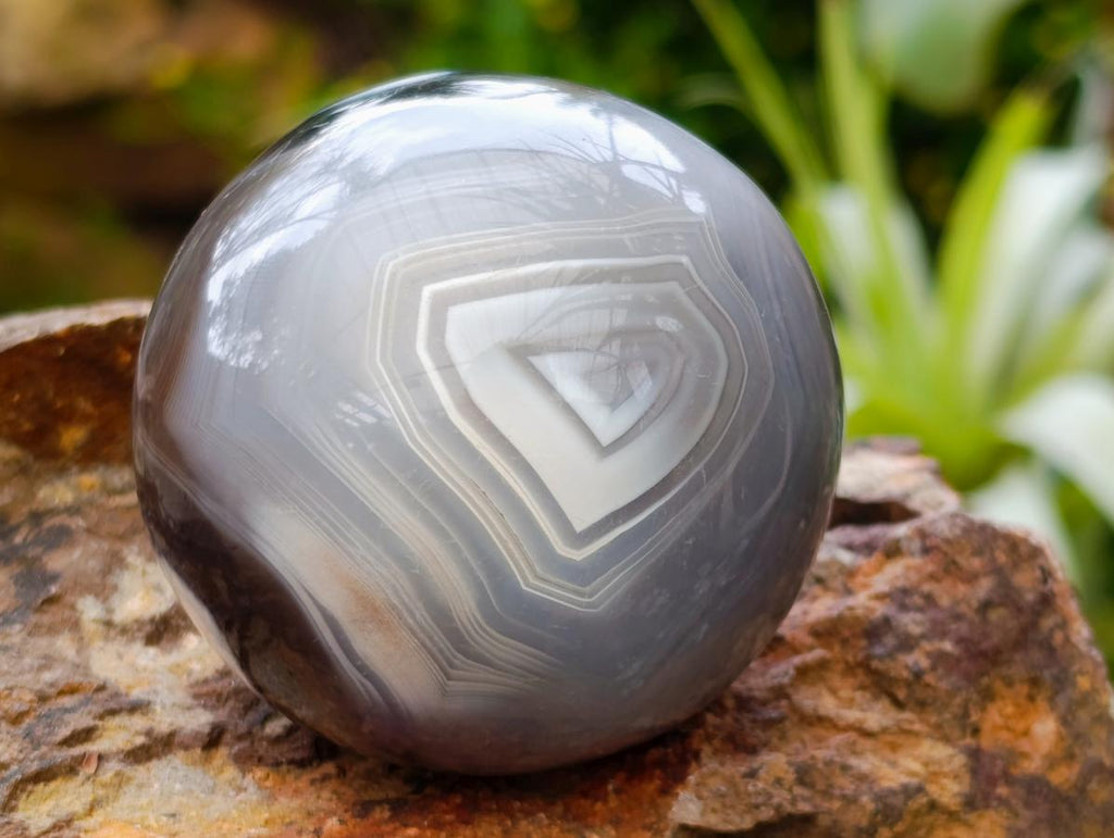 Polished Banded Agate Spheres x 6 From Madagascar - Toprock Gemstones and Minerals 