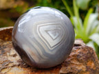 Polished Banded Agate Spheres x 6 From Madagascar - Toprock Gemstones and Minerals 