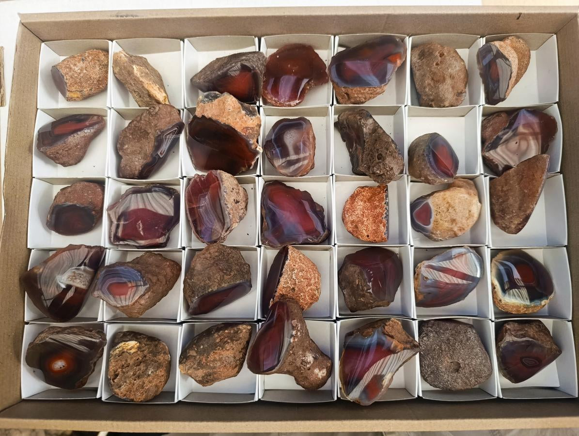 Polished One Side Red Shashe River Agate Nodules x 35 From Shashe River, Zimbabwe - Toprock Gemstones and Minerals 