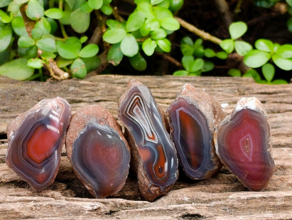 Polished One Side Red Shashe River Agate Nodules x 35 From Shashe River, Zimbabwe - Toprock Gemstones and Minerals 