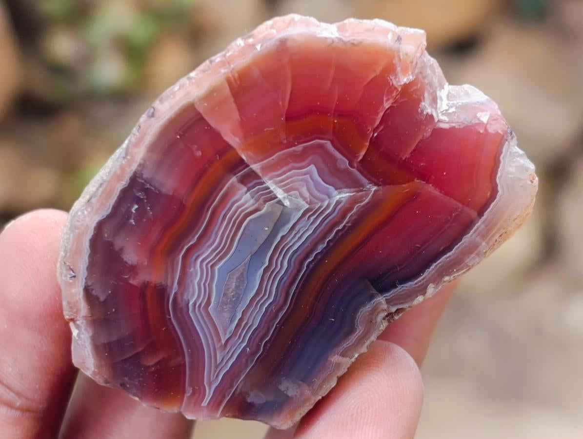 Polished One Side Red Shashe River Agate Nodules x 35 From Shashe River, Zimbabwe - Toprock Gemstones and Minerals 