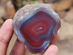 Polished One Side Red Shashe River Agate Nodules x 35 From Shashe River, Zimbabwe - Toprock Gemstones and Minerals 