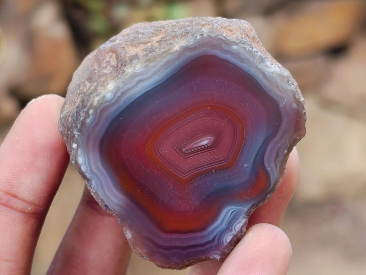 Polished One Side Red Shashe River Agate Nodules x 35 From Shashe River, Zimbabwe - Toprock Gemstones and Minerals 