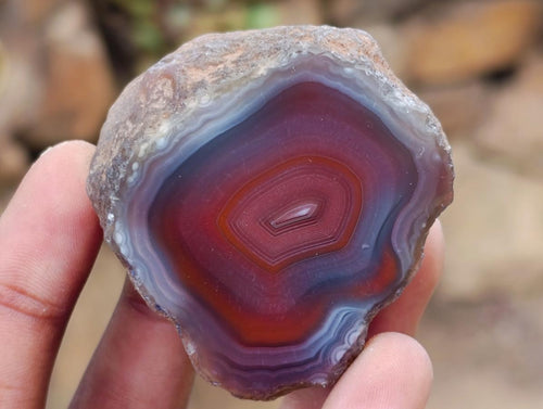 Polished One Side Red Shashe River Agate Nodules x 35 From Shashe River, Zimbabwe - Toprock Gemstones and Minerals 
