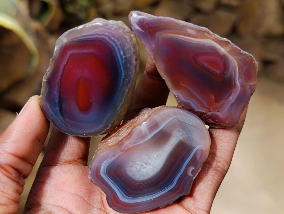 Polished One Side Red Shashe River Agate Nodules x 35 From Shashe River, Zimbabwe - Toprock Gemstones and Minerals 