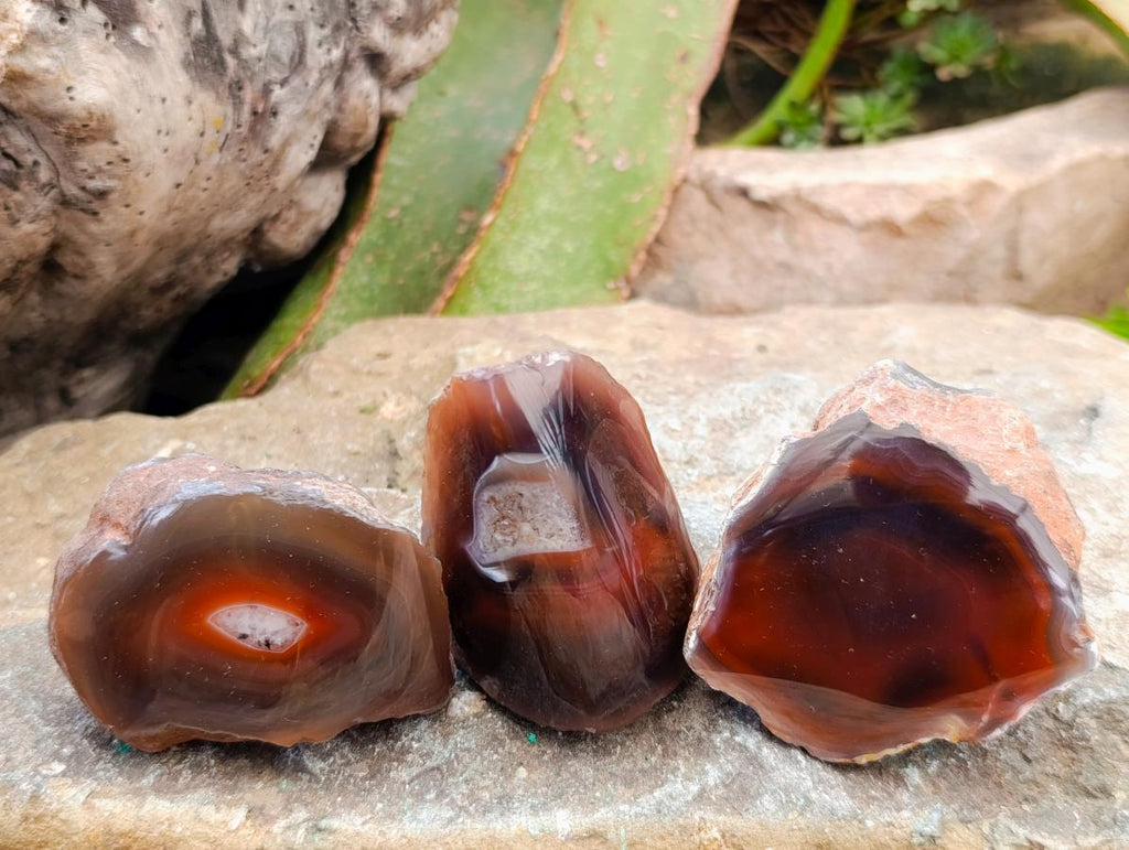 Polished One Side Red Shashe River Agate Nodules x 35 From Shashe River, Zimbabwe - Toprock Gemstones and Minerals 