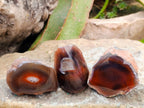 Polished One Side Red Shashe River Agate Nodules x 35 From Shashe River, Zimbabwe - Toprock Gemstones and Minerals 